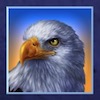 Wolf Moon Rising Slot Mid Payout