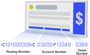 Identify Your Echeck Data