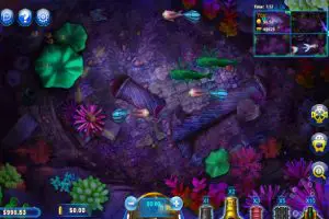 Fish Catch Online Game